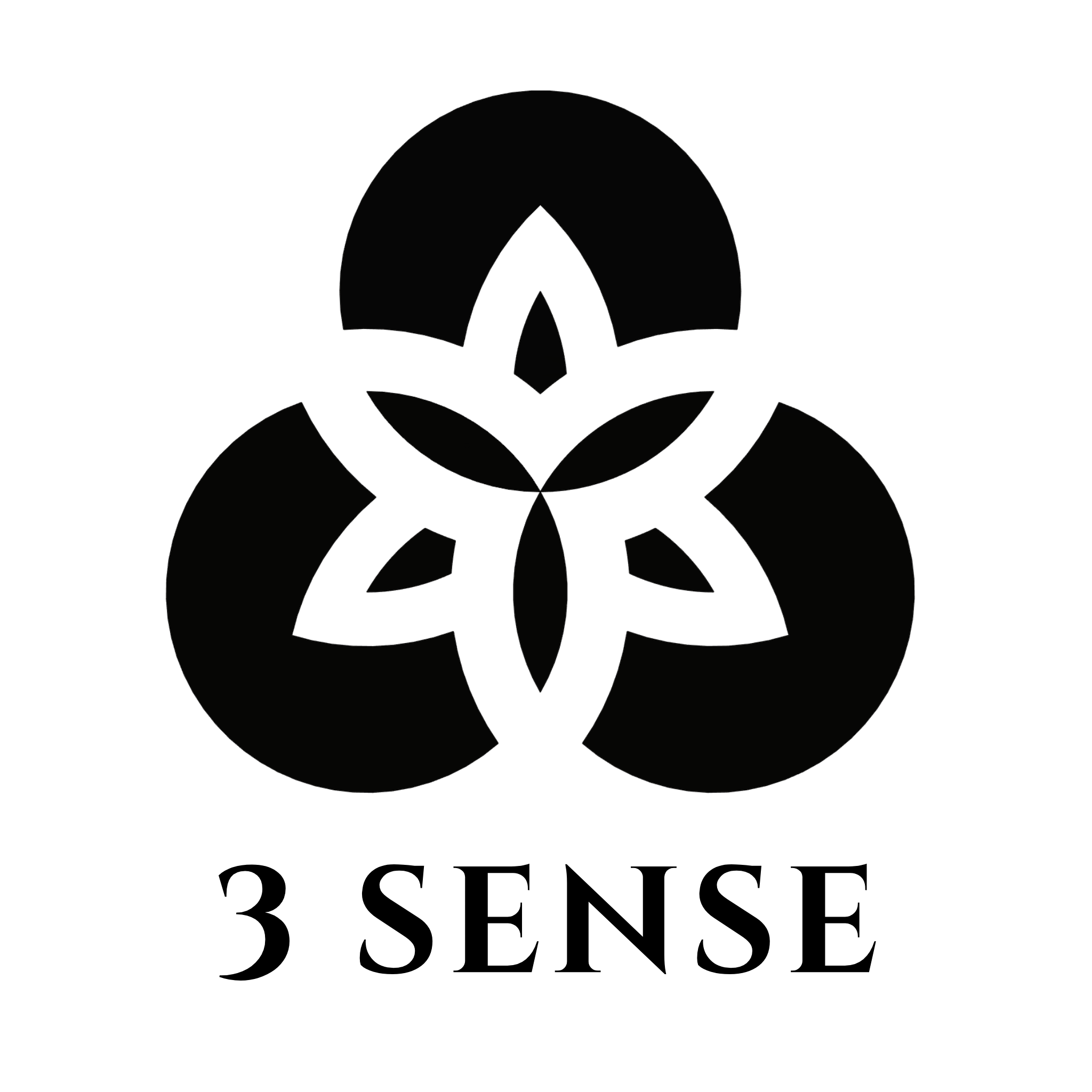 3Sense